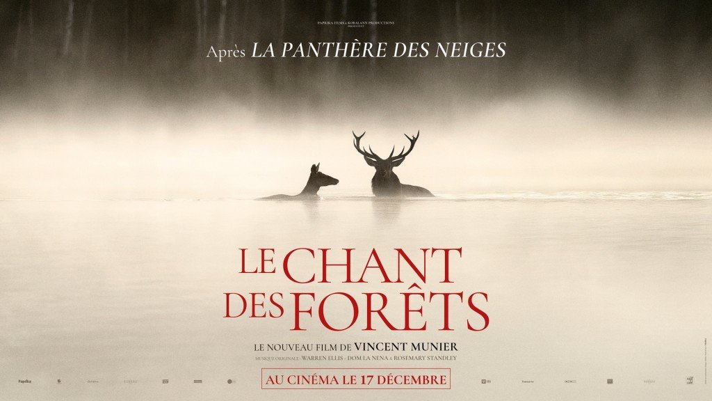 actualité LE CHANT DES FORÊTS